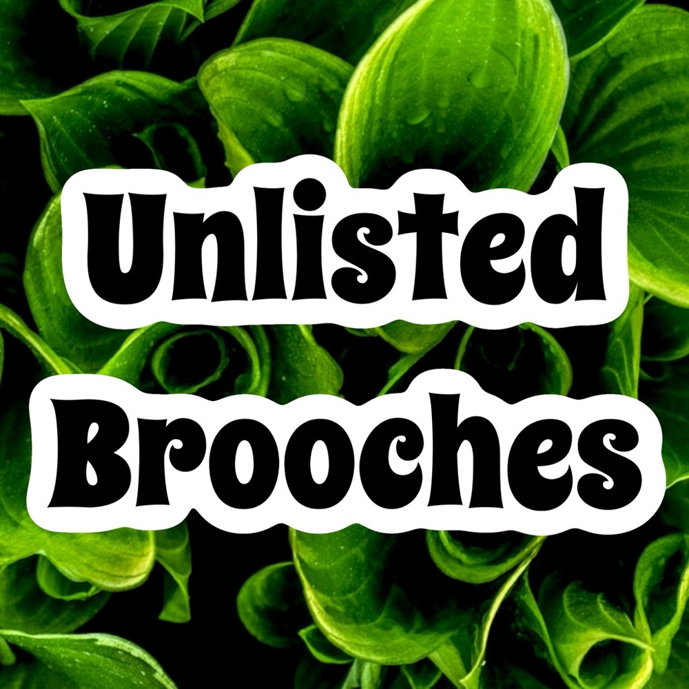 UNLISTED BROOCHES
